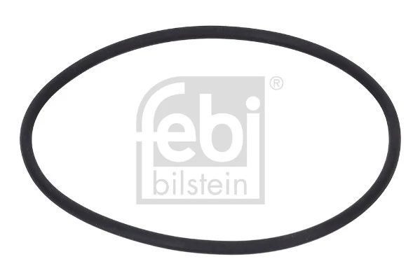 Seal Ring, steering knuckle